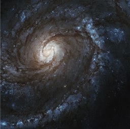 M100