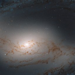 M109