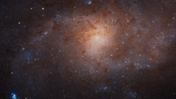 M33