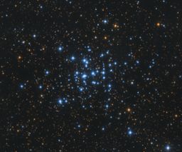 M36
