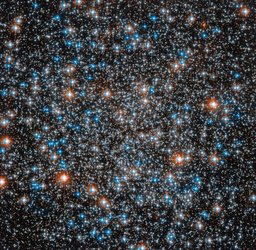 M55
