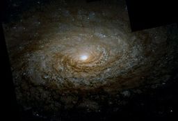 M63