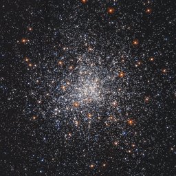 M79