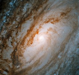 M88